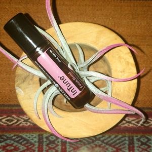 DoTERRA InTune Focus Blend 10mL Roll On